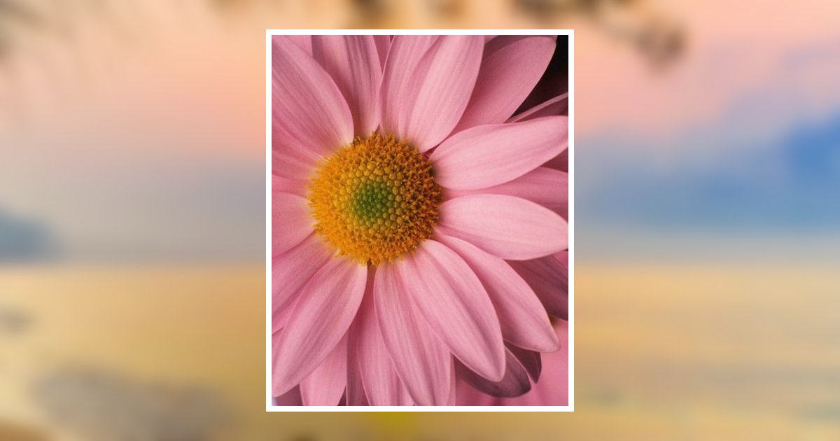 Rose M. Anderson Obituary January 6, 2024 Beall Funeral Home