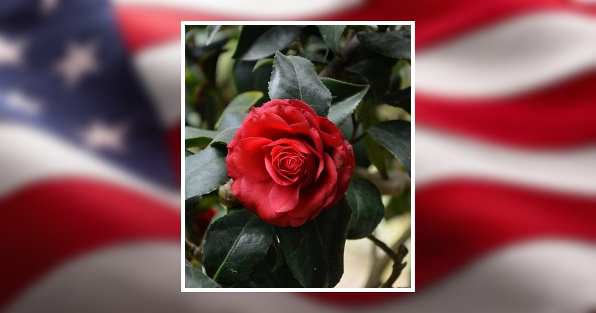 John E. Moore Obituary, Danville, OH