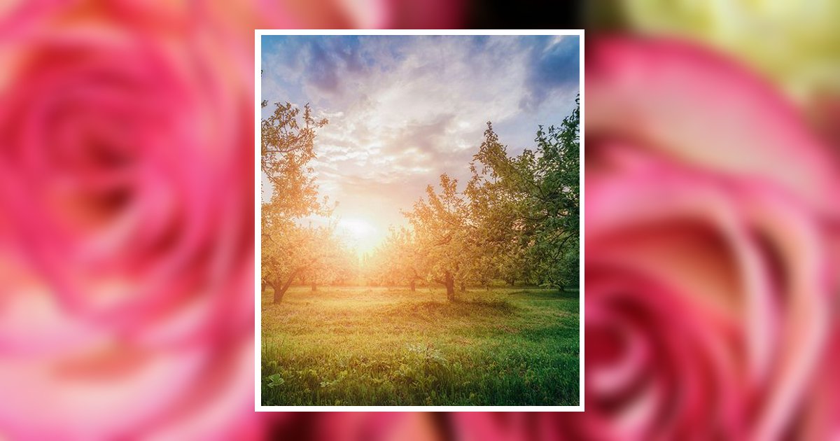 Linda Mcclain Obituary, Greenville, TX