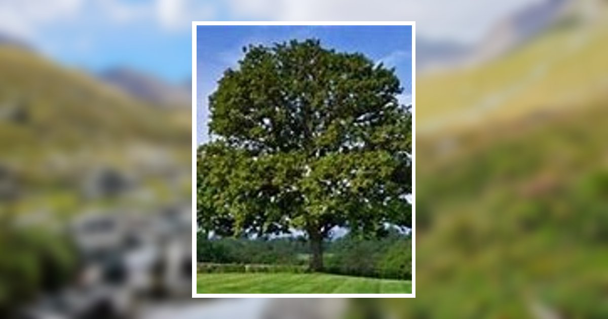 Robert Verie Eccles Headland, AL Obituary