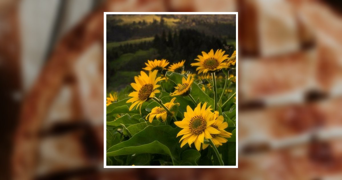 Joyce T. Salter Obituary, Waynesboro, GA