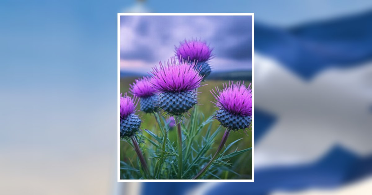 Elizabeth Colvin Miller Obituary, Morehead City, NC