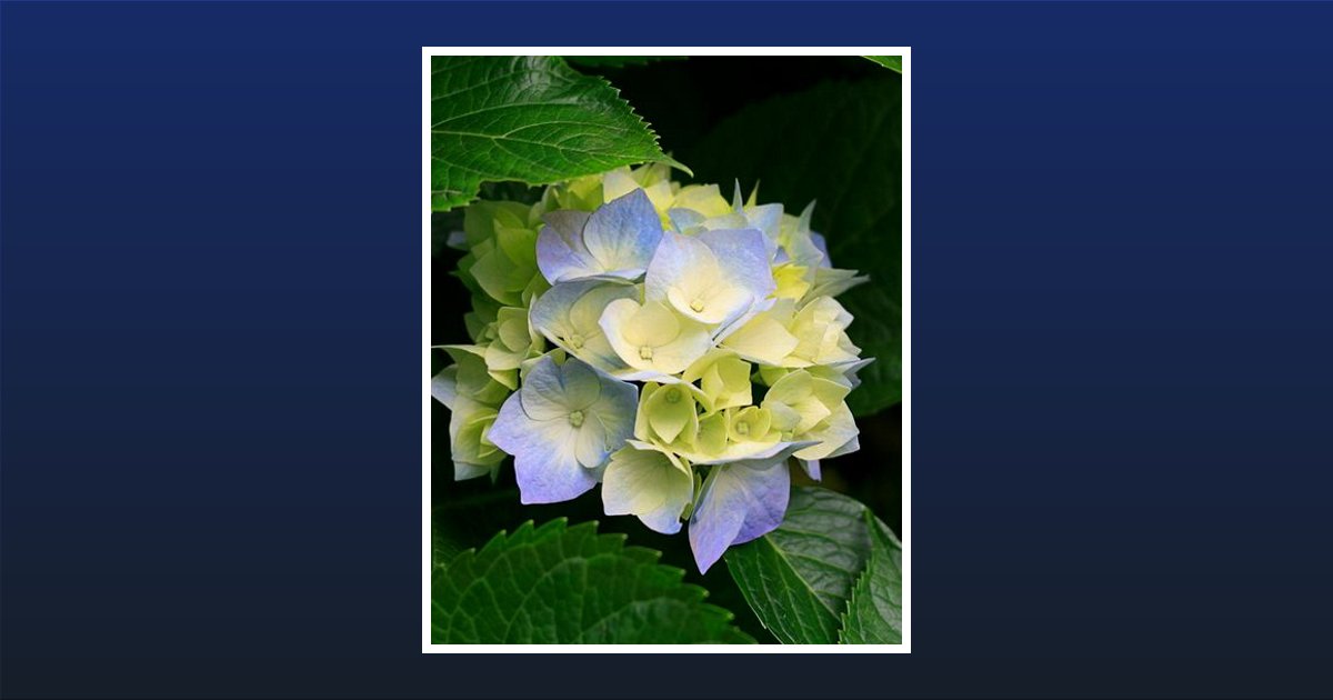 Baby Boy Azariah Allen Obituary, Fort Worth, TX