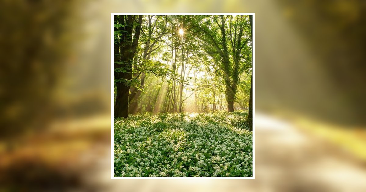 Irene Ruth Mcquaig Waggoner Obituary, Hahira, GA