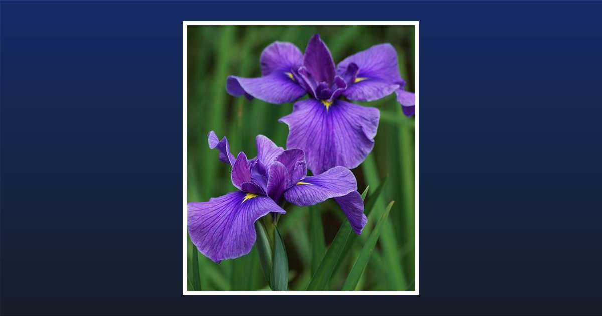 Mary Kathleen Terry Obituary, Morton, MS