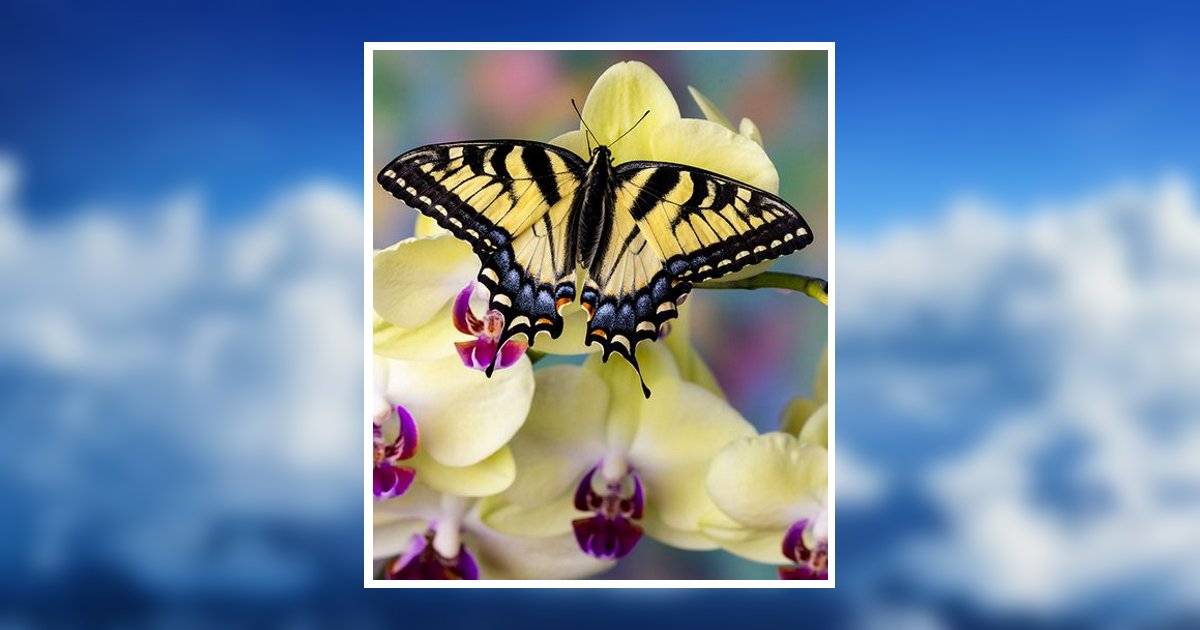 Jr. William Williams Obituary, Raleigh, NC