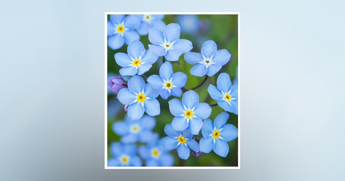 Mary Kristin Summerall Obituary, Columbus, GA