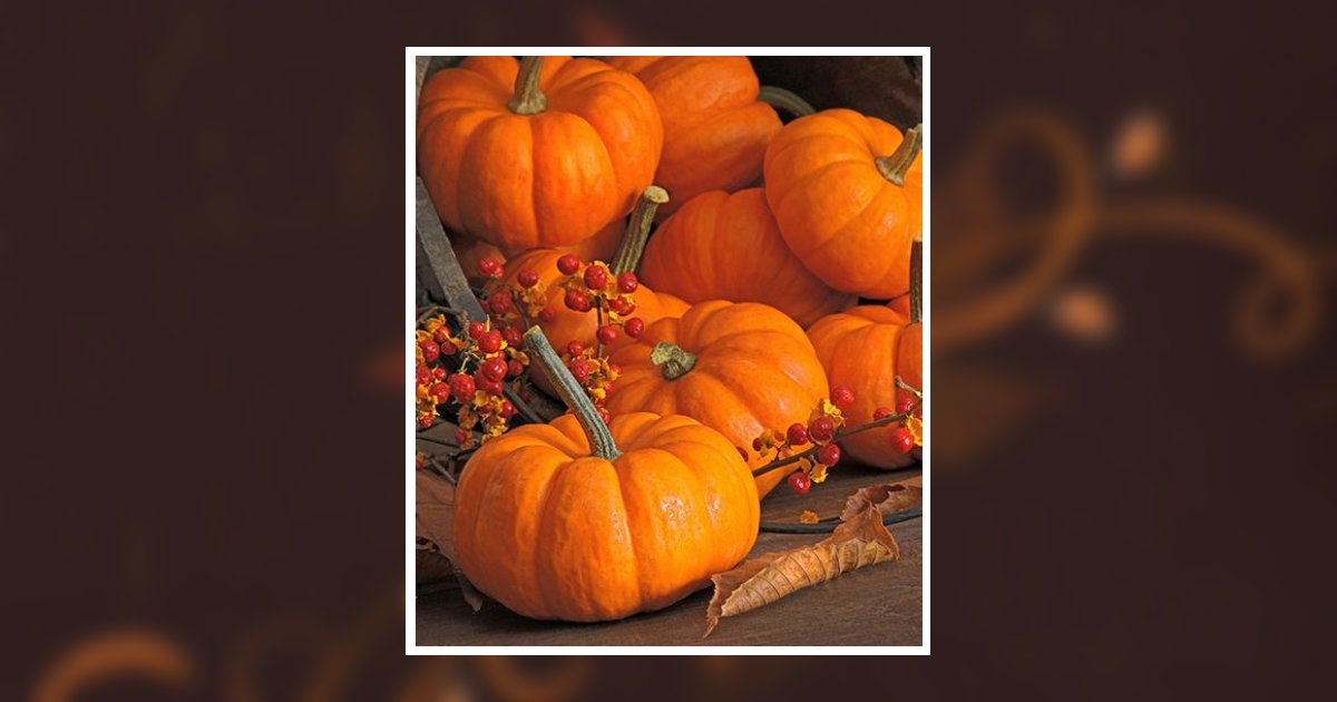 Randolph P. Rawlins Obituary, Wilkes Barre, PA