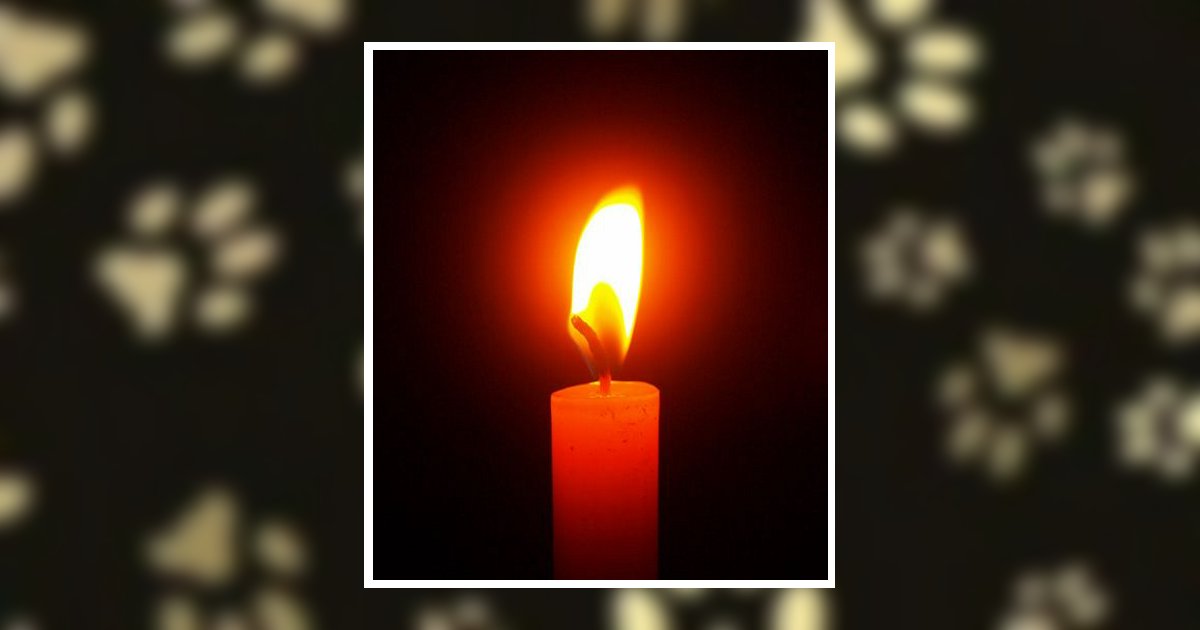 Carol Jane Pietruszak Obituary, Fort Mill, SC