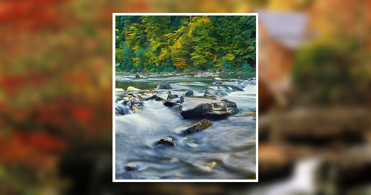 Portrait of Bernard Junior Franklin