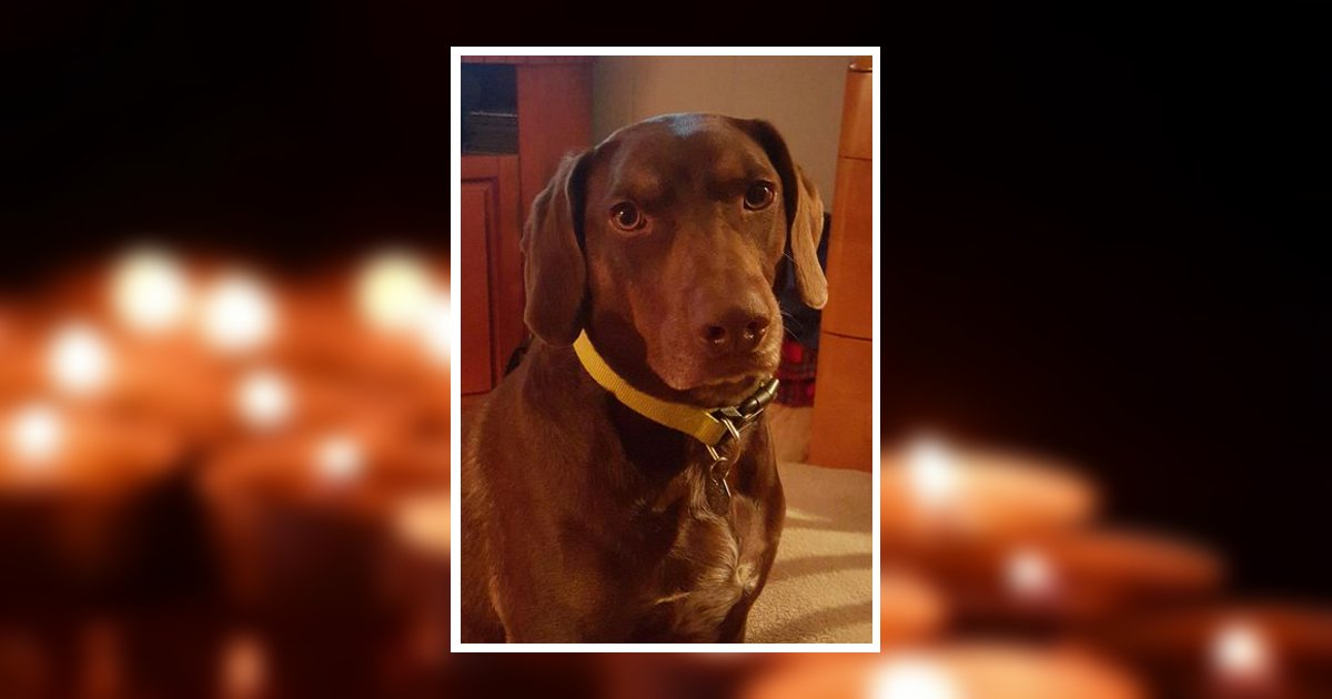 James Elgin "J.E." Parker Sikeston, MO Obituary