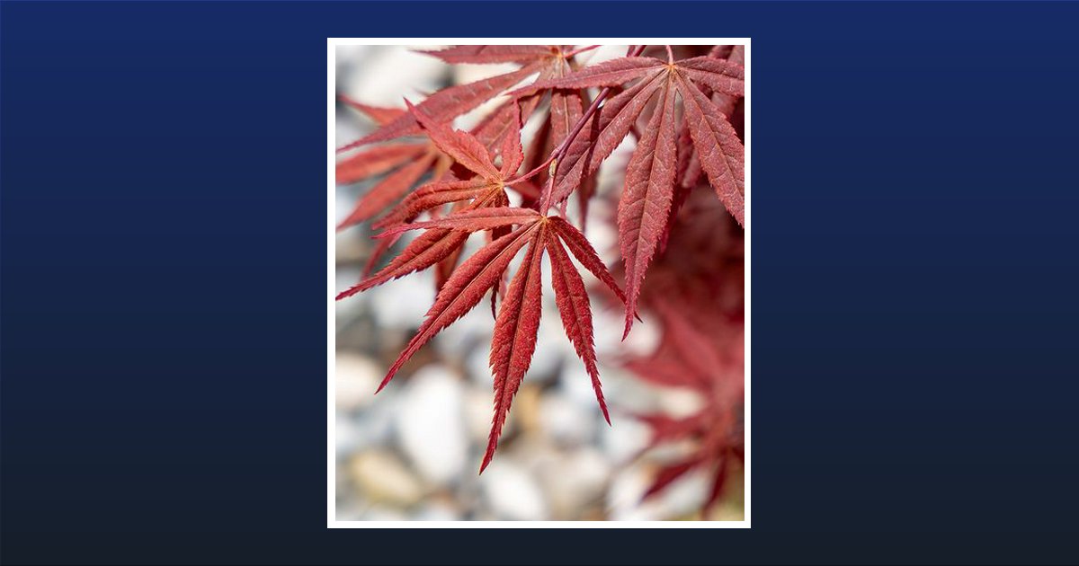 James Michael Doak Obituary, Sidney, OH