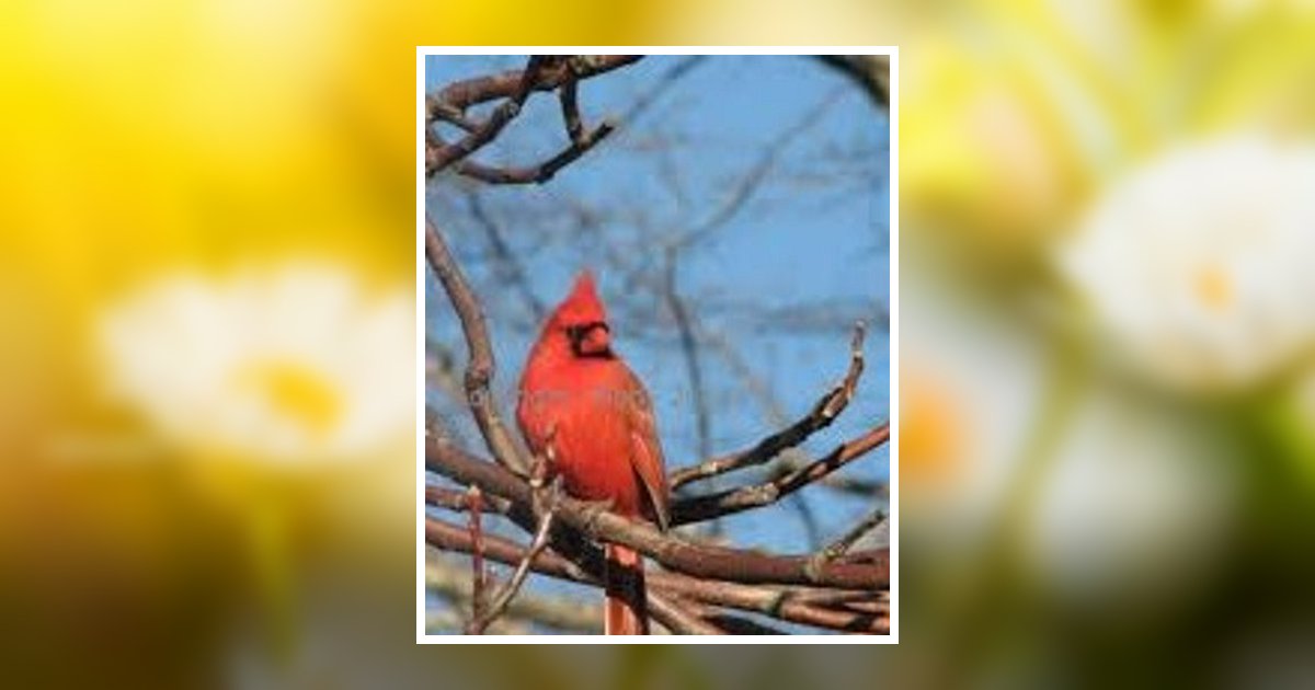 Charlene Anne Gallagher Obituary 2024 Mangano Family Funeral Homes, Inc.