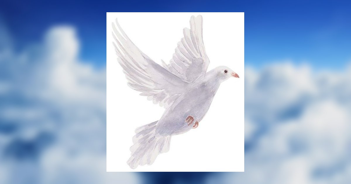 Baby Fatima Paiwand Obituary, Kutztown, PA