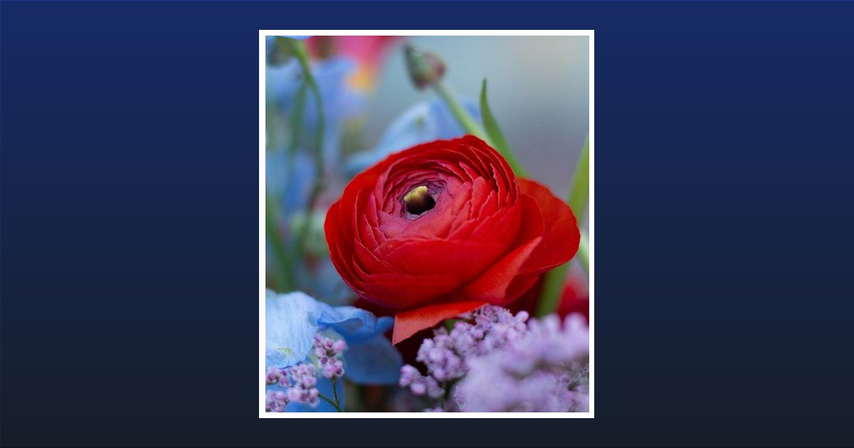 Janice Bower Obituary, Tamaqua, PA