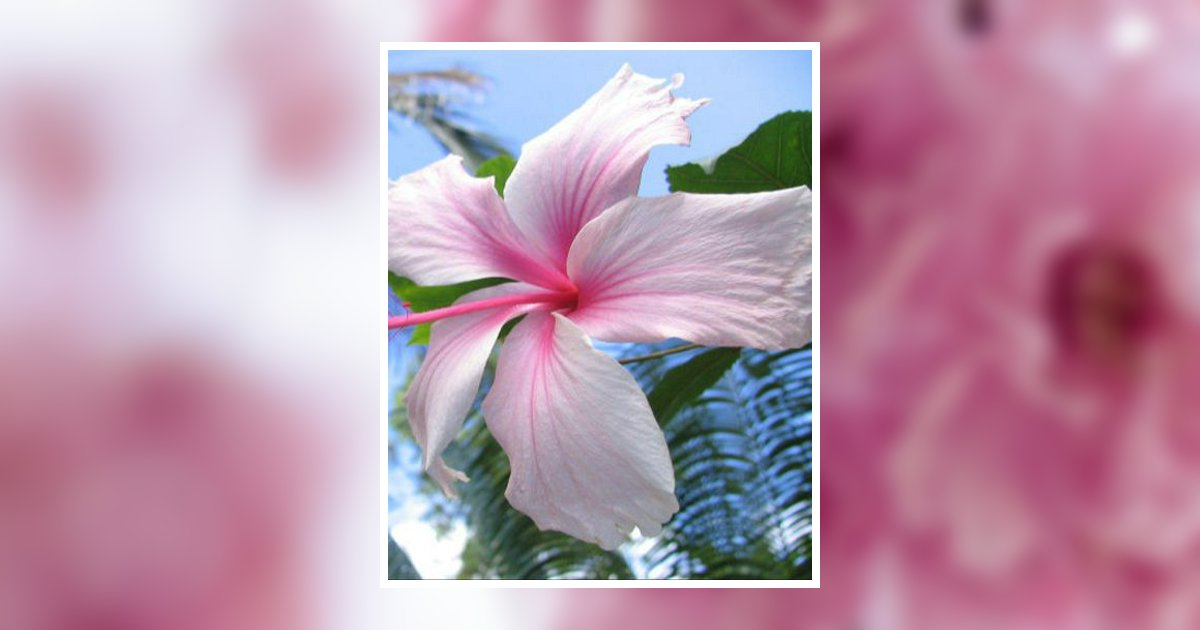 Kathryn Elizabeth Condie Hahn Obituary, Preston, ID