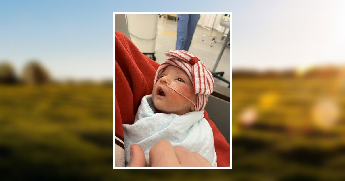 Illaina Faith Harris Obituary January 4, 2024 Meridith Funeral Home