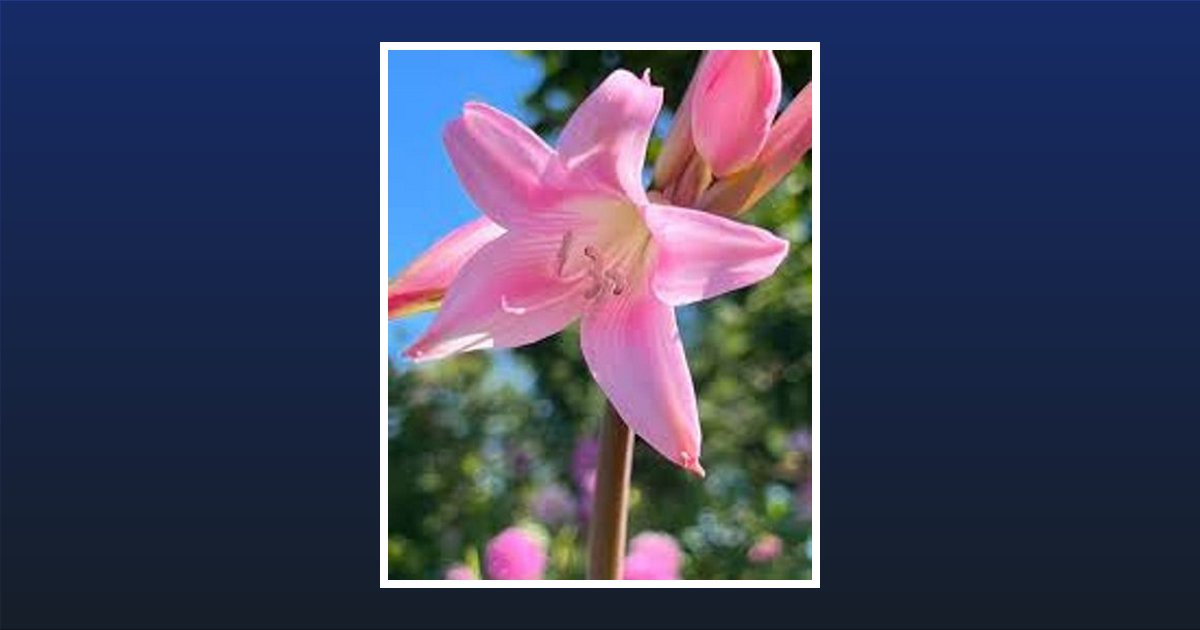 Runette James Johnson