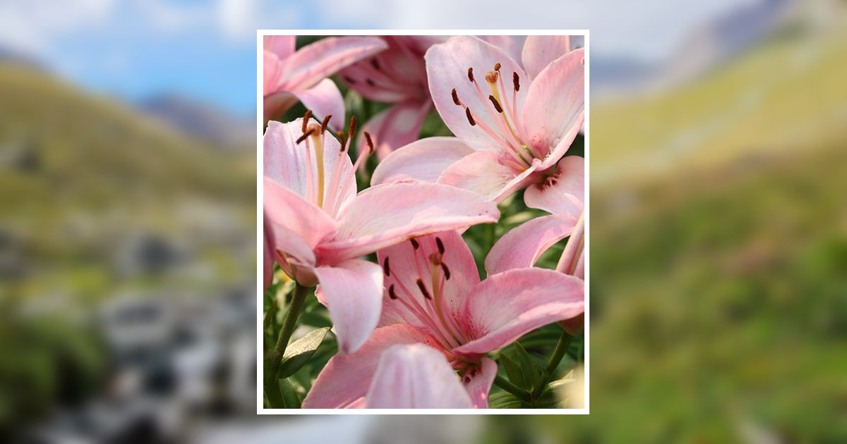 Paula Jean Yurko Obituary, Barberton, OH