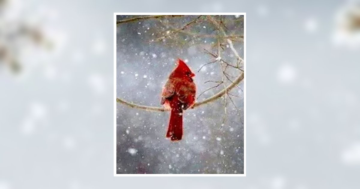 Alice Mccoy Adamsville, TN Obituary