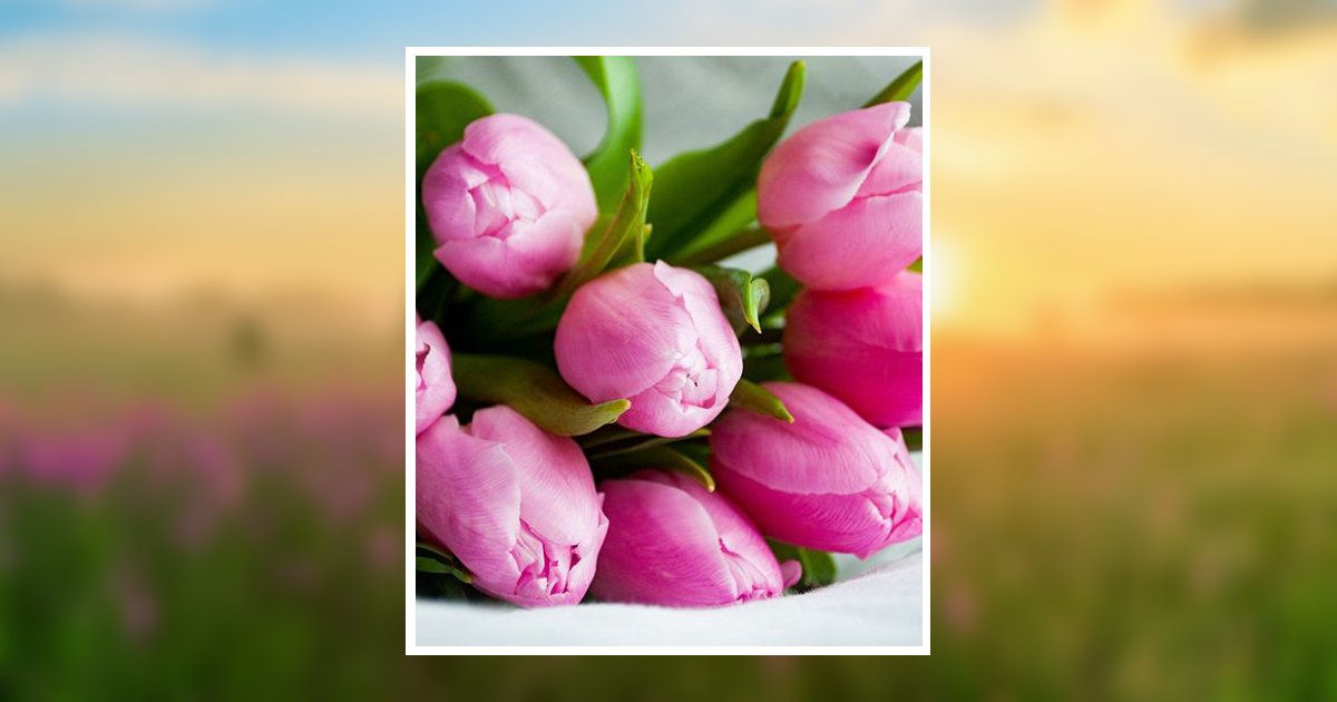 Nita Goodson Bailey Obituary, Saltillo, MS