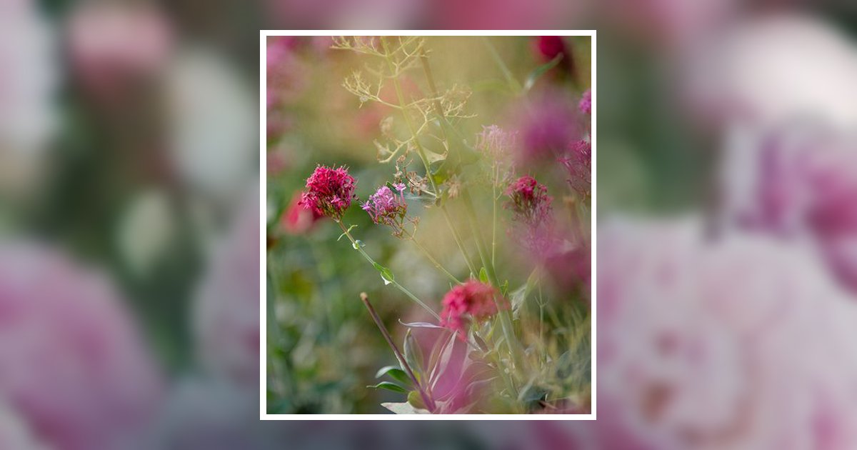 Carol Ann Edwards Obituary, Hillsboro, OH