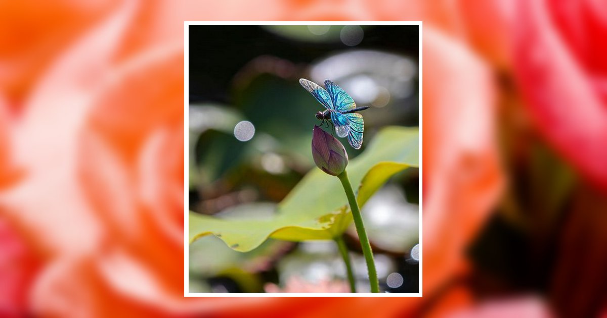 Virginia Hill London, OH Obituary