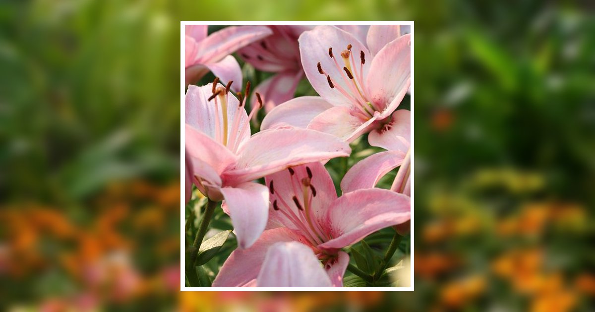 Jennifer D Poe Obituary, Clanton, AL