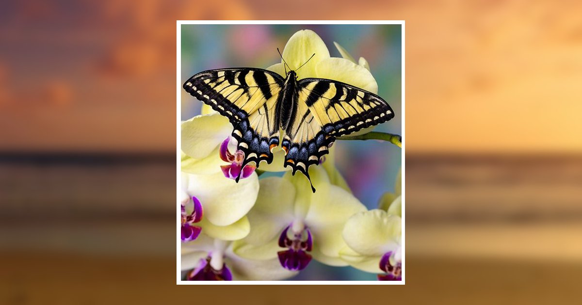 Amy Michele Eldridge Obituary, Pineville, KY