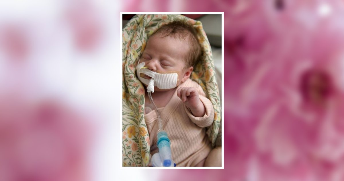 Mila Jean Pache Obituary, Syracuse, NE