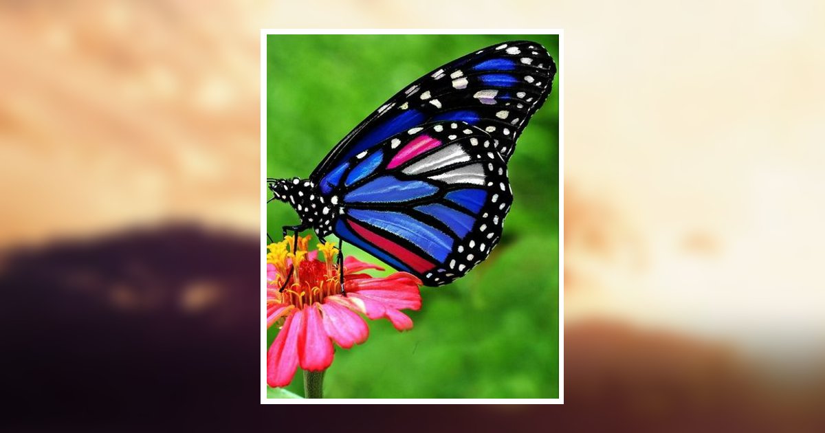 Johnnie Mae Hudson Obituary, Lake Wales, FL