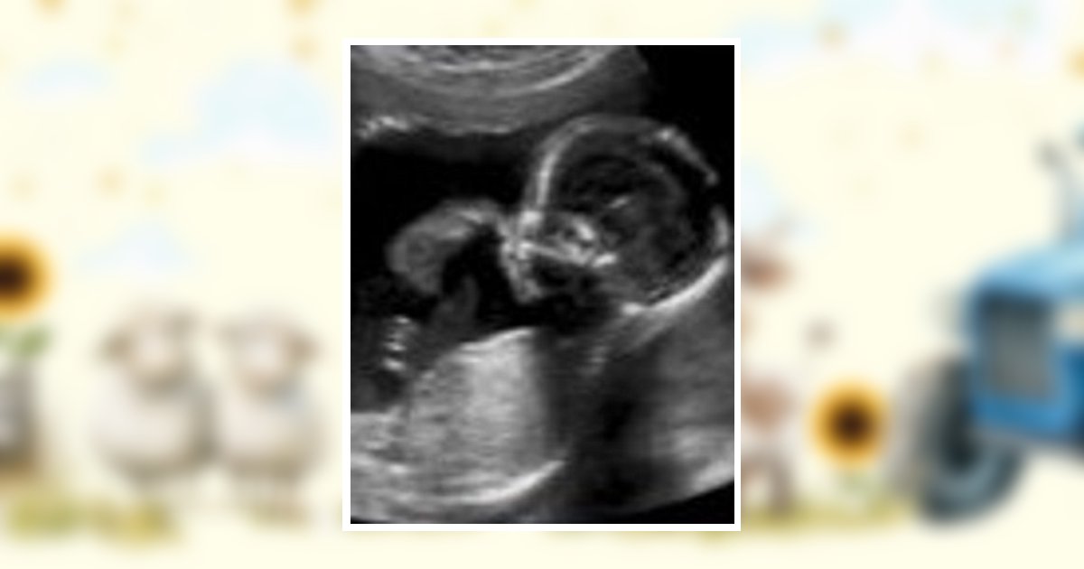 Tristan James Barrett