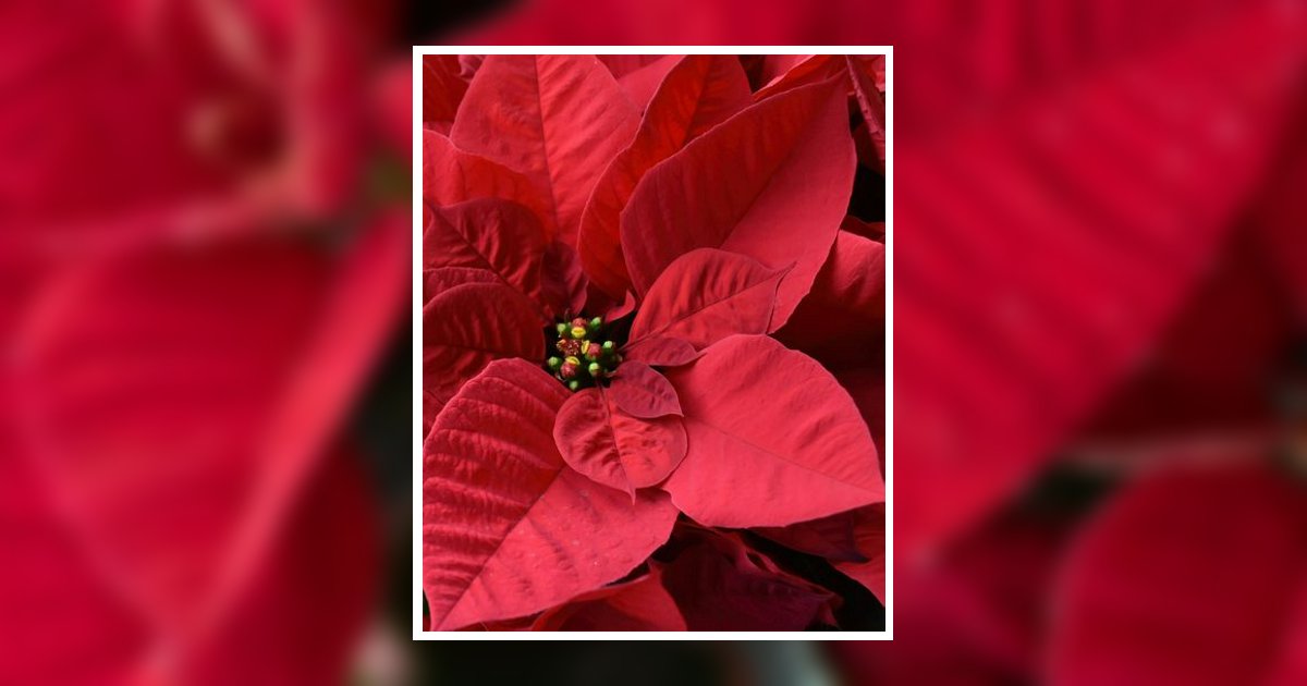 Pamela Lewis Obituary, Morehead City, NC