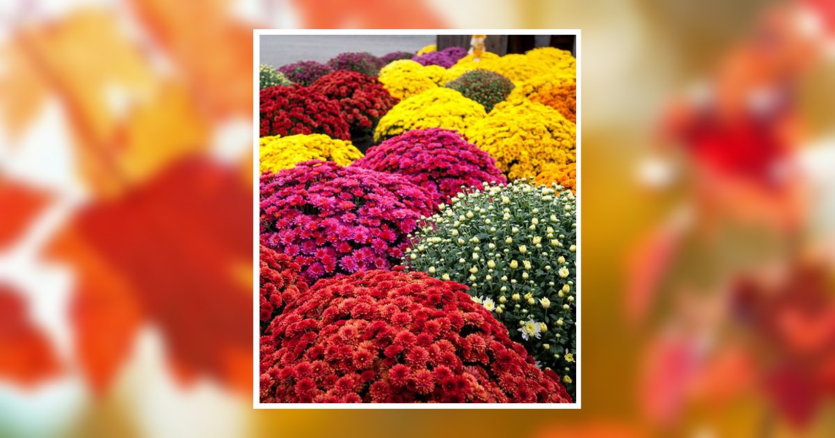 Vikki Rene Hays Obituary, Owenton, KY