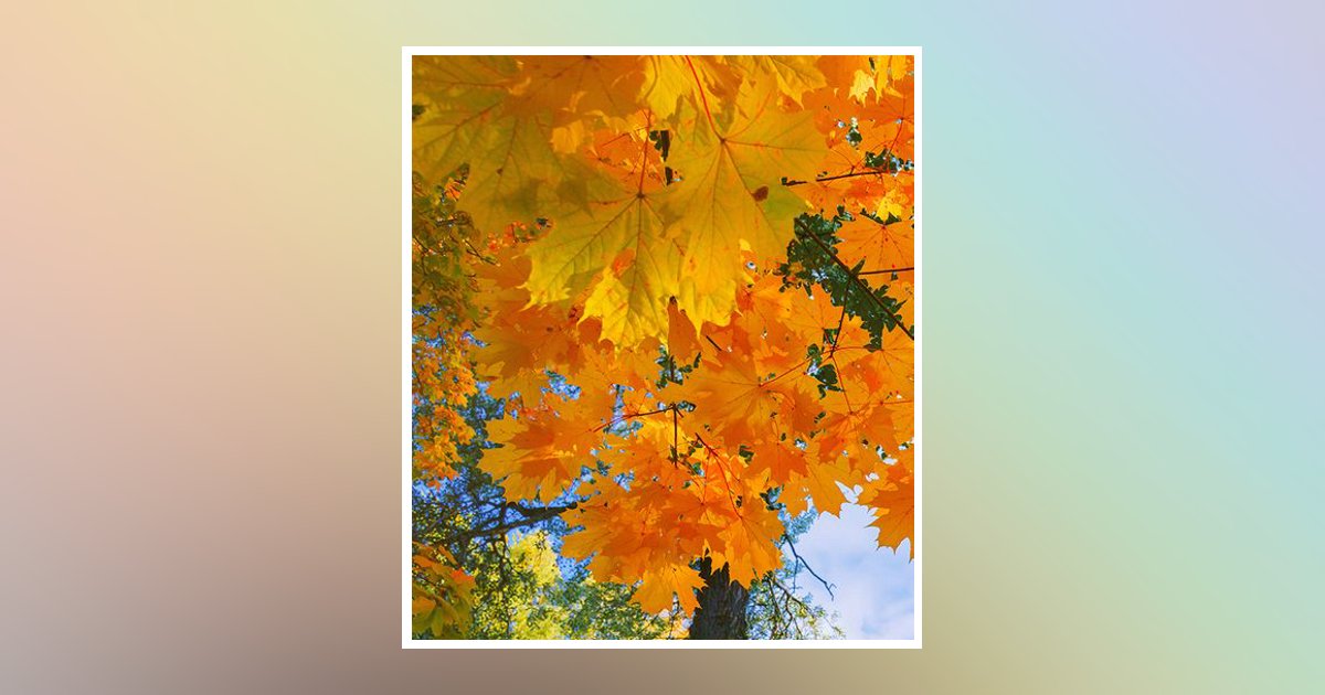 Anna Franskus Obituary, Wilkes Barre, PA