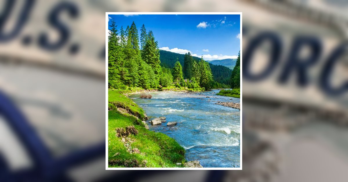 Clarence Warren Ellison