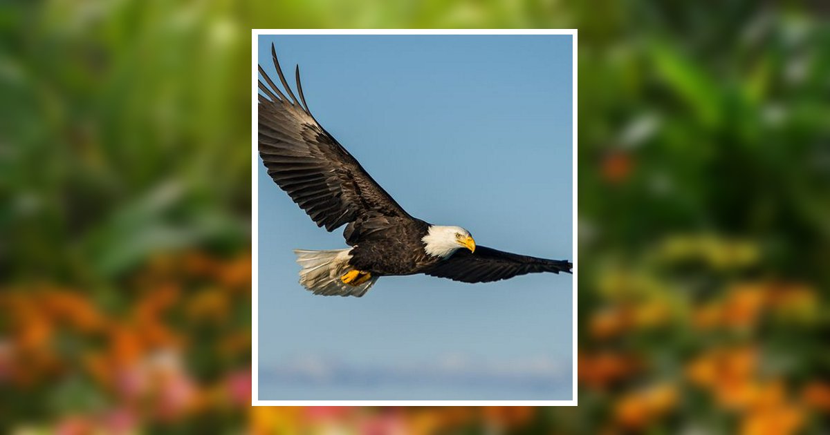 Virginia Alice Mark Obituary, Greenfield, OH