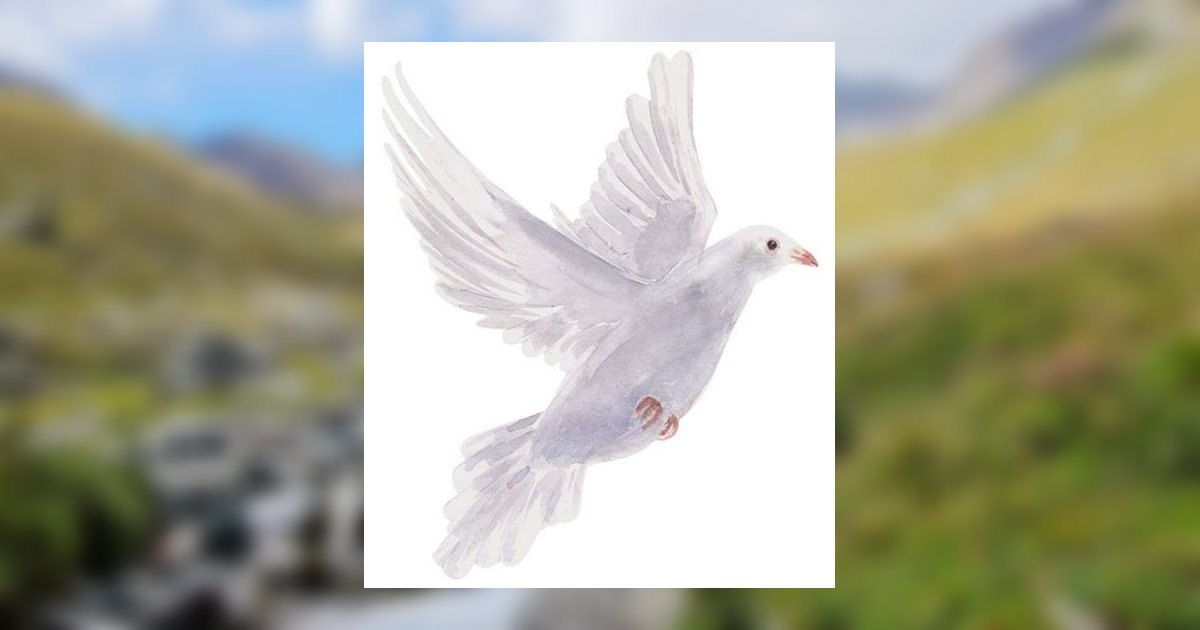 Kenneth L. Rauch Topton, PA Obituary