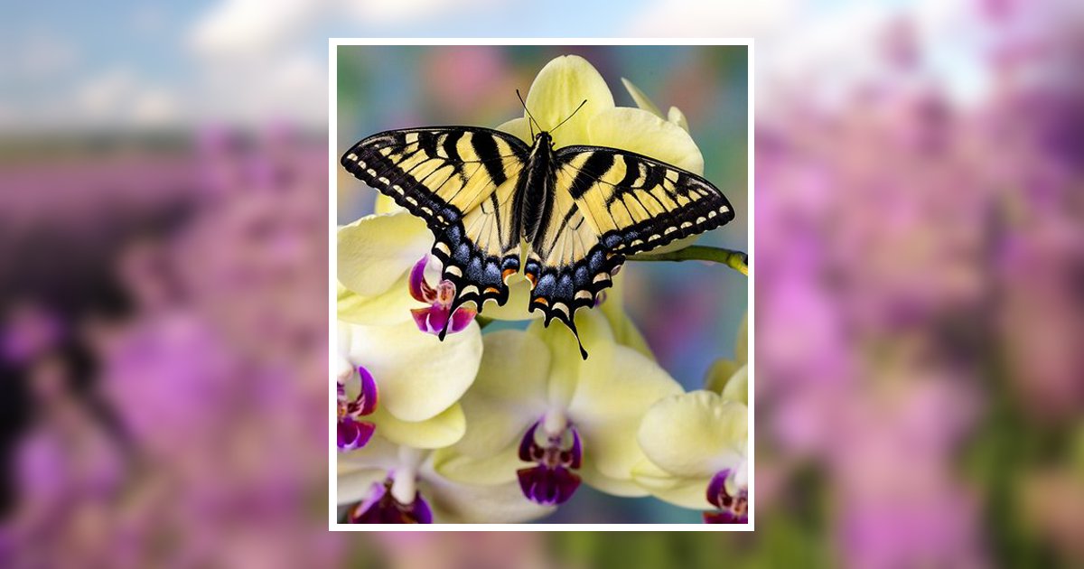 Louise Labarre Davis