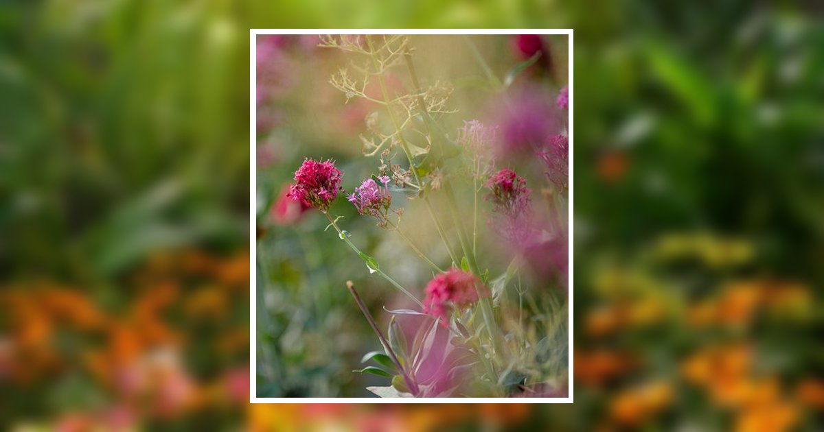 Josefina Villalobos Obituary, Weatherford, TX