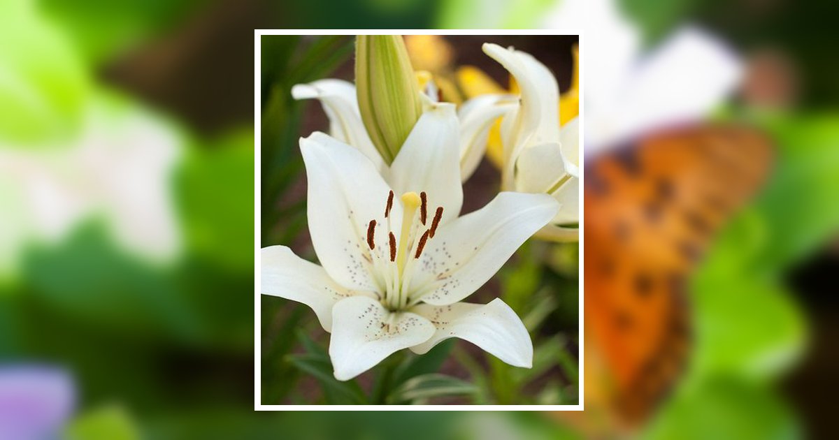 Magdalene Engle Schlaf Obituary, Corbin, KY
