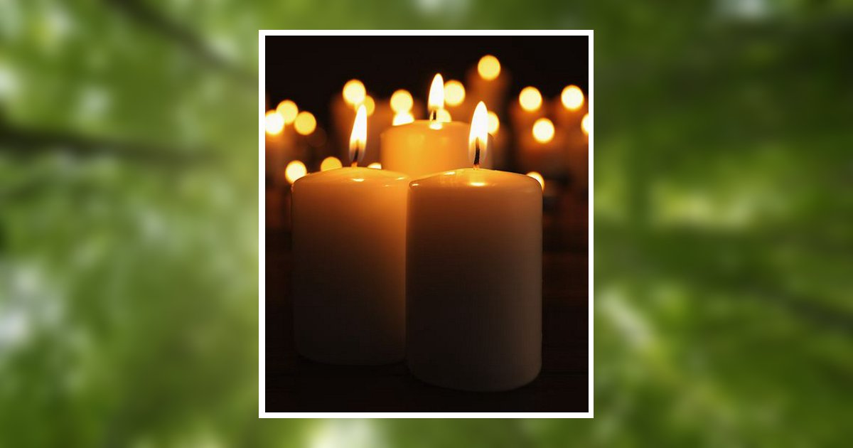 Robert Eugene Mcneely Obituary, West Hamlin, WV