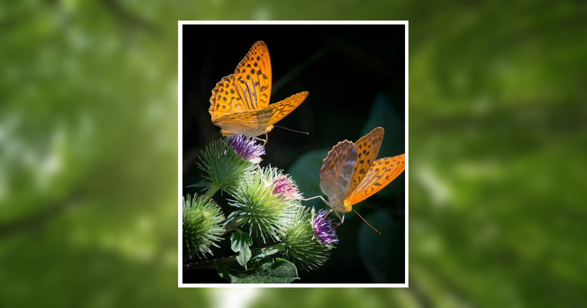 Paula Lynn Carter Obituary, Powell, WY