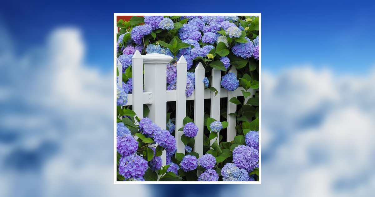 Mary J Ford Minerva, OH Obituary