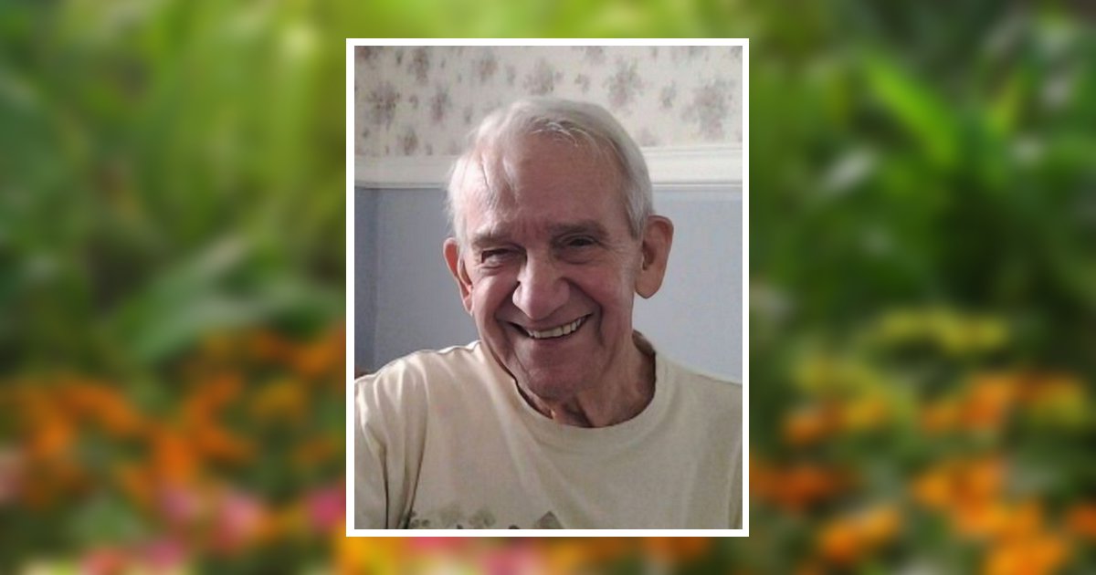 Thomas John Dedea Obituary, South Elgin, IL
