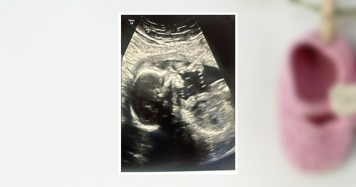 Alyssa Ann Owens Obituary, Henryetta, OK