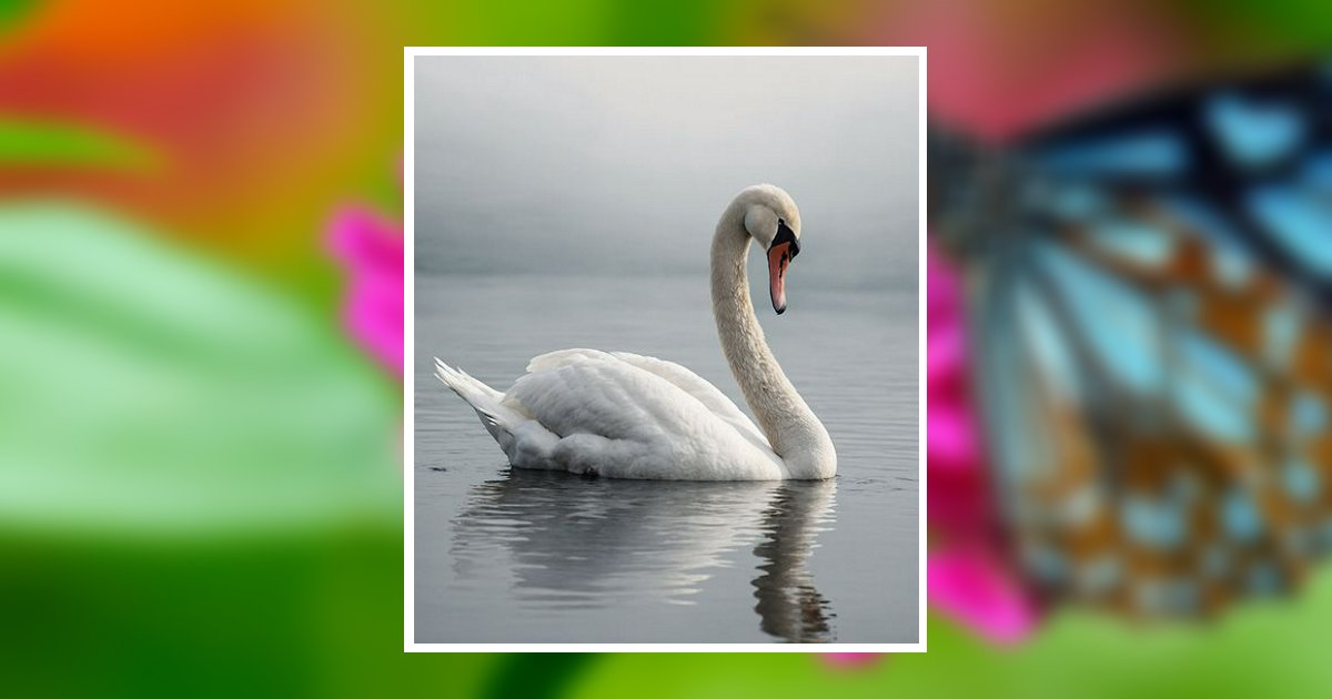 Gayle Deloach Obituary, Columbus, OH
