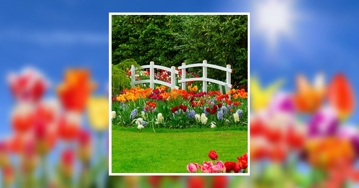 Chari Marie Adkins Obituary, Sandpoint, ID