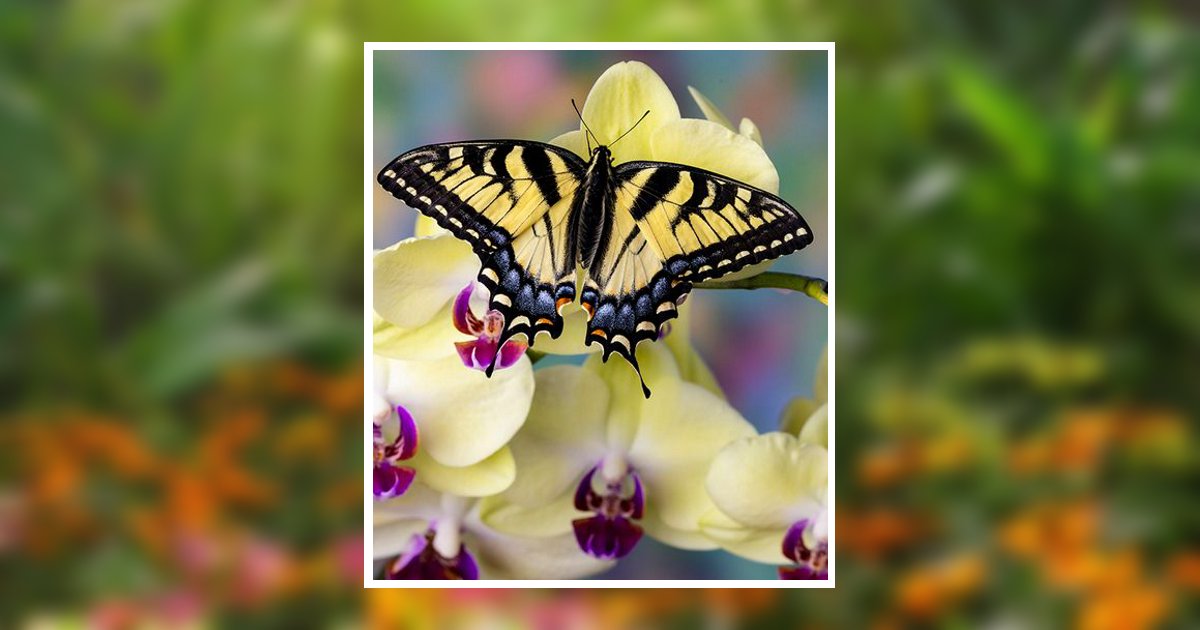 Elizabeth Baggett Obituary, Raleigh, NC