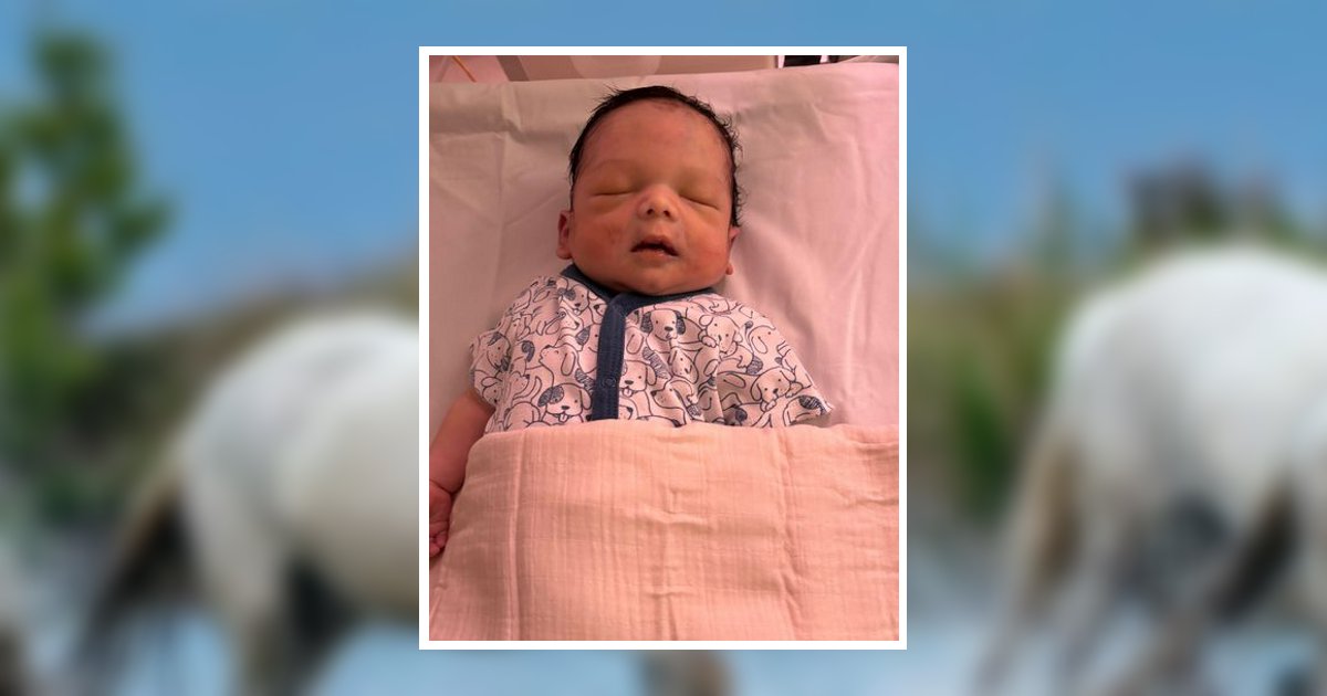 Natsuwi Dean Manywhitehorses Obituary, Wapato, WA